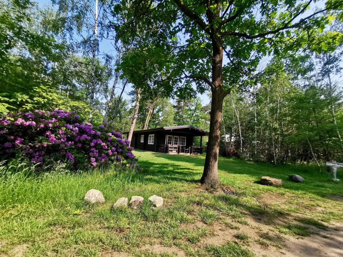 Scandinavian Lodges Голтен Екстер'єр фото