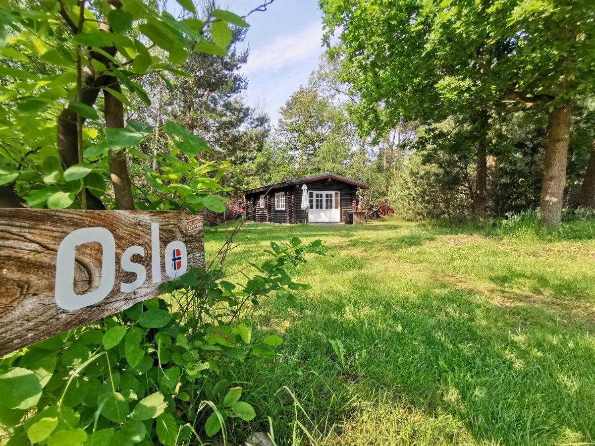 Scandinavian Lodges Голтен Екстер'єр фото