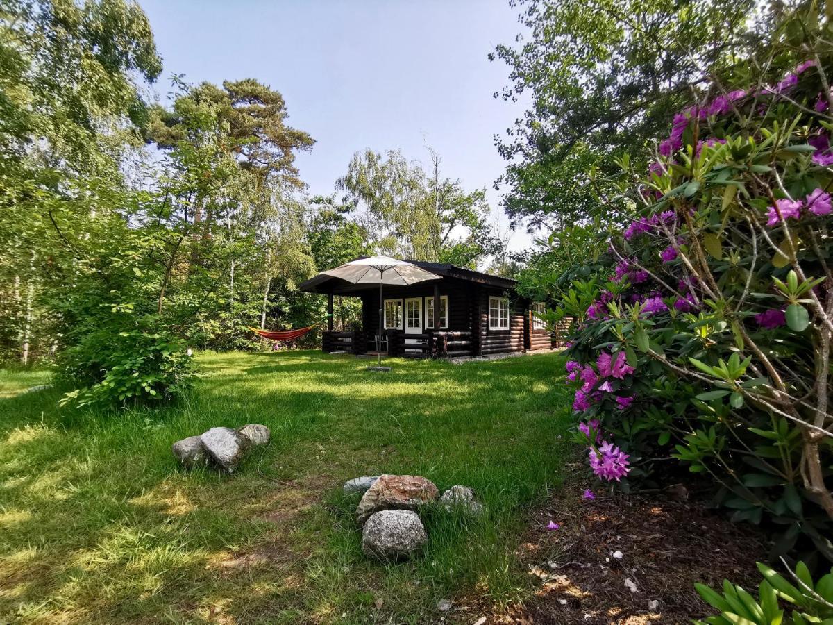 Scandinavian Lodges Голтен Екстер'єр фото
