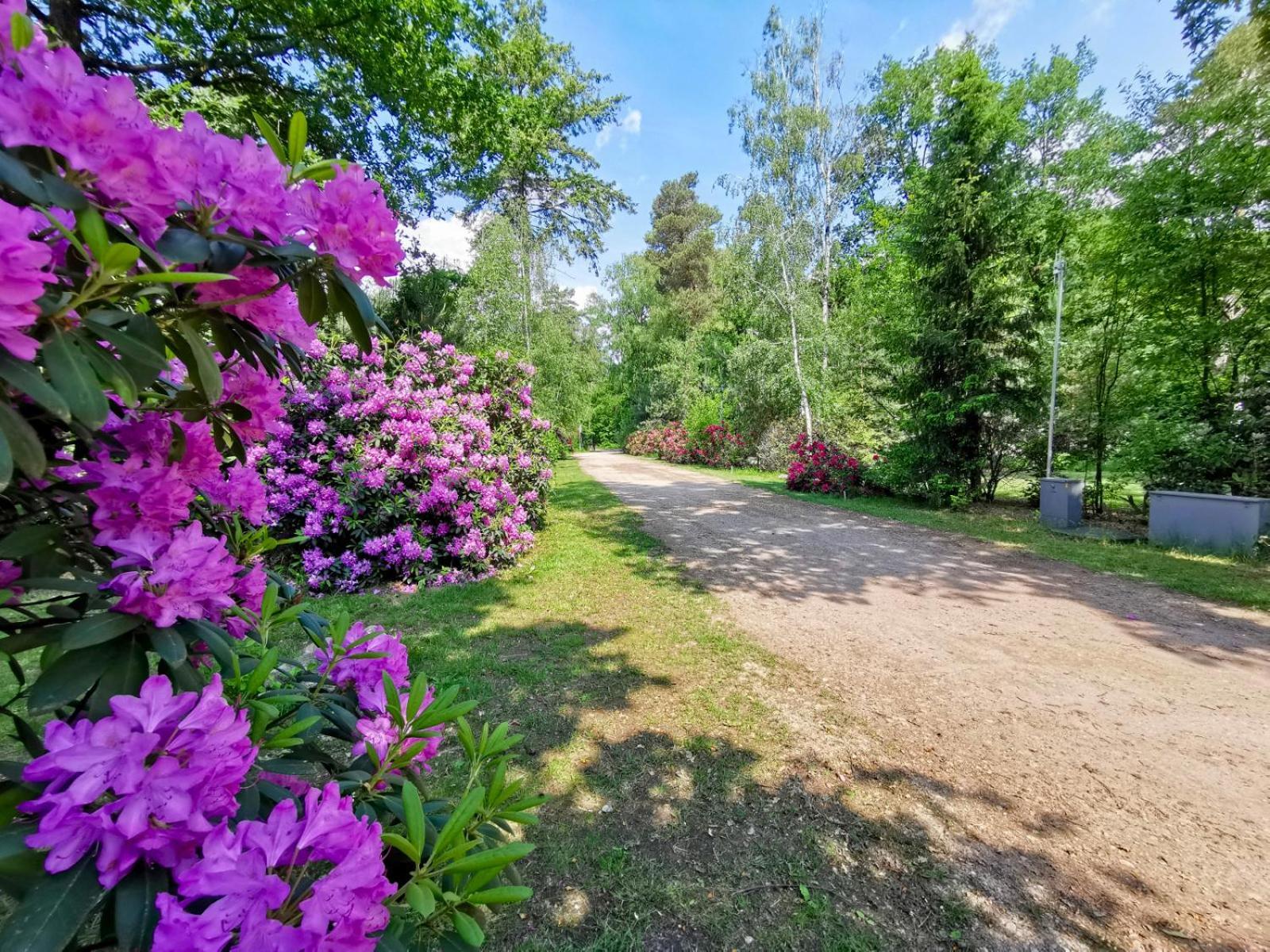 Scandinavian Lodges Голтен Екстер'єр фото